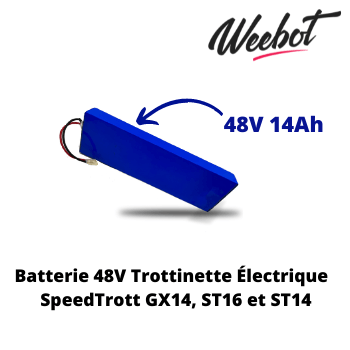 Batterie Trottinette Électrique 48V ST14, ST16 et GX14 - SpeedTrott (Batterie Uniquement) - Weebot