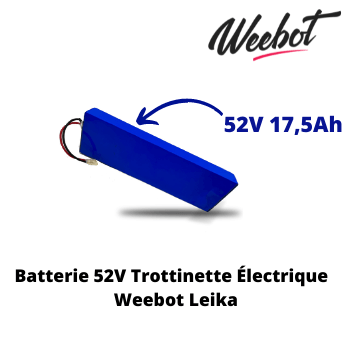 Batterie Trottinette Electrique 52V Leika 10 pouces - Weebot (Batterie Uniquement) - Weebot