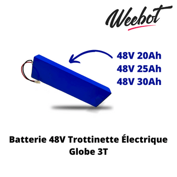 Batterie Trottinette Electrique 48V Globe 3T (Batterie Uniquement) - Weebot