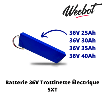 Batterie 36V Trottinette Électrique SXT (Batterie Uniquement) - Weebot