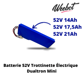 Batterie Trottinette Électrique 52V Dualtron Mini Double Moteur - Minimotors (Batterie Uniquement) - Weebot