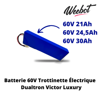 Batterie Trottinette Électrique 60V Dualtron Victor Luxury - Minimotors (Batterie Uniquement) - Weebot