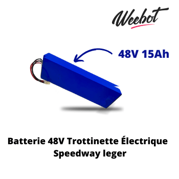 Batterie Trottinette Electrique 48V Speedway Leger - Minimotors (Batterie Uniquement) - Weebot