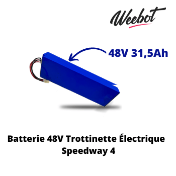 batterie interne original trottinette electrique speedway 4 48v 31 5ah pas cher