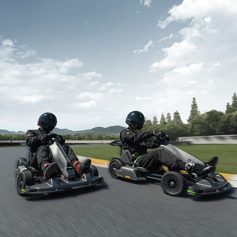 GoKart Pro Ninebot Lifestyle